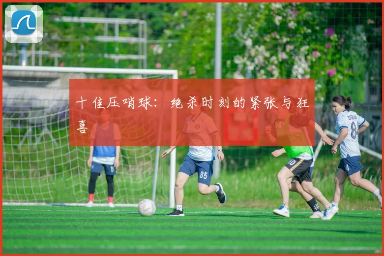 十佳压哨球：绝杀时刻的紧张与狂喜